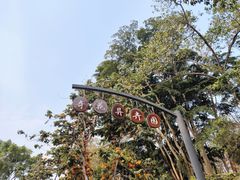 -中国科学院西双版纳热带植物园
