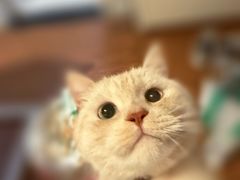 -一围肥牛小火锅(高铁吾悦店)