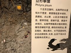 -上海长江河口科技馆