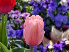 -世纪公园-世纪春沁园