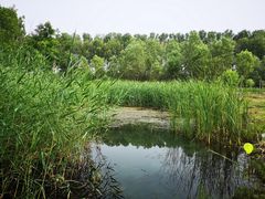 -东郊湿地公园