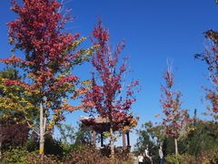-张家湾公园