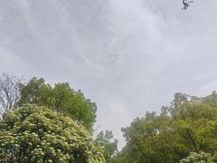 -上海滨江森林公园