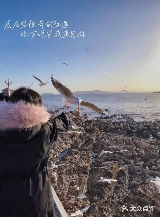 栈桥景区图片