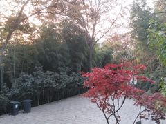 -上海佘山国家森林公园西佘山园