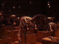 -世界恐龙谷景区