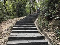 -火炉山森林公园