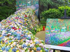 -上海共青森林公园