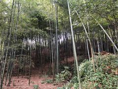 -石塘人家