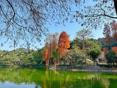 -西樵山风景名胜区-天湖公园