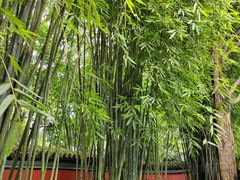 -成都武侯祠博物馆