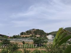 -北宅大永樱桃采摘基地(崂山总部)