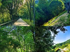 -西湖风景区-江洋畈生态公园
