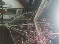 android_upload_pic-苏州文旅花间堂·探花府酒店