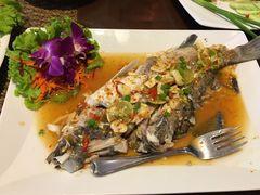 -Daddy Nimman Chiang Mai