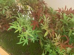 -吴家·淮扬小馆(世纪金源店)