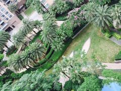 -维也纳国际酒店(深圳新洲店)