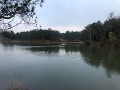 -抚州汤溪温泉