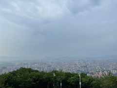 -风云岭森林公园