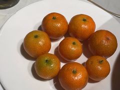 -杨氏青龙虾·羊蝎子(托乐嘉店)