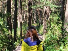 -白草畔自然风景区