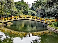 -晓港公园