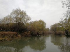 -长兴太湖图影湿地文化园