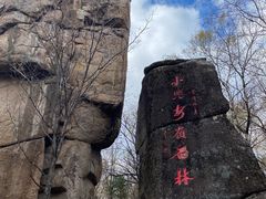 -汤旺河林海奇石景区