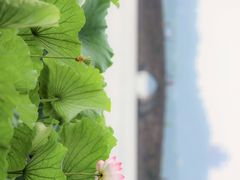 -北山街历史文化街区
