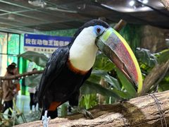 -海合安武汉极地海洋公园