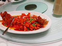 松鼠大桂鱼-泓历皇朝酒店(东亭店)