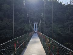 -西双版纳原始森林公园