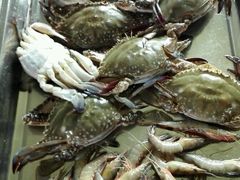 -小六农家乐(崇明西沙湿地店)