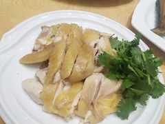 -瑞记湛江鸡饭店·粤西第一鸡(粤垦店)