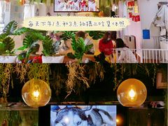 -Husky Go! 哈士奇体验馆·宠物咖啡厅狗咖