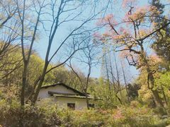 -法云古村