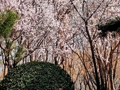 -北坞公园