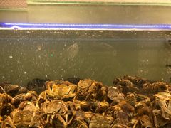 -沪小胖小龙虾(淮海中路旗舰店)