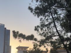 -山东大学(威海校区)