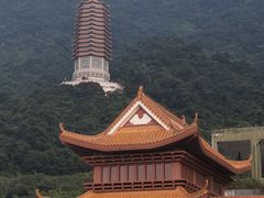 -深圳仙湖植物园