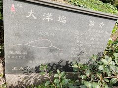 -午潮山国家森林公园