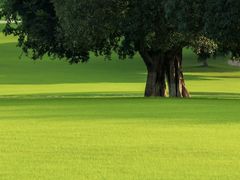 -重庆中央公园(渝北区)