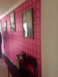 -华翎国际钢管舞培训