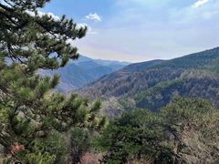 -雁门关景区