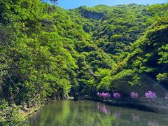 -太湖源风景区