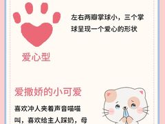 -唐小姐の私宠·宠物洗护美容·撸猫馆·购宠(周浦万达旗舰店)