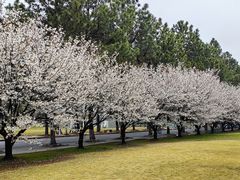 -同济大学(嘉定校区)