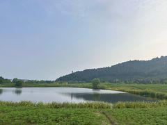 -径山花海