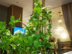 -Deer Park鹿园西餐(仁恒置地广场店)
