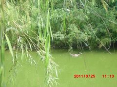 -庆会楼硫磺浴(西塔街店)